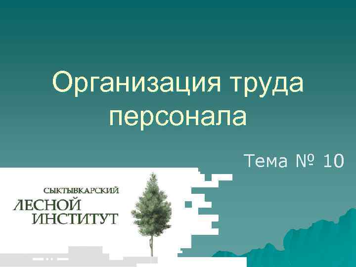 Организация труда персонала Тема № 10 