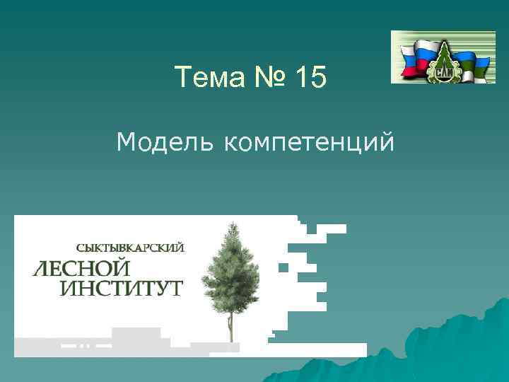 Тема № 15 Модель компетенций 
