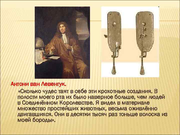 Антони ван Левенгук. «Сколько чудес таят в себе эти крохотные создания. В полости моего