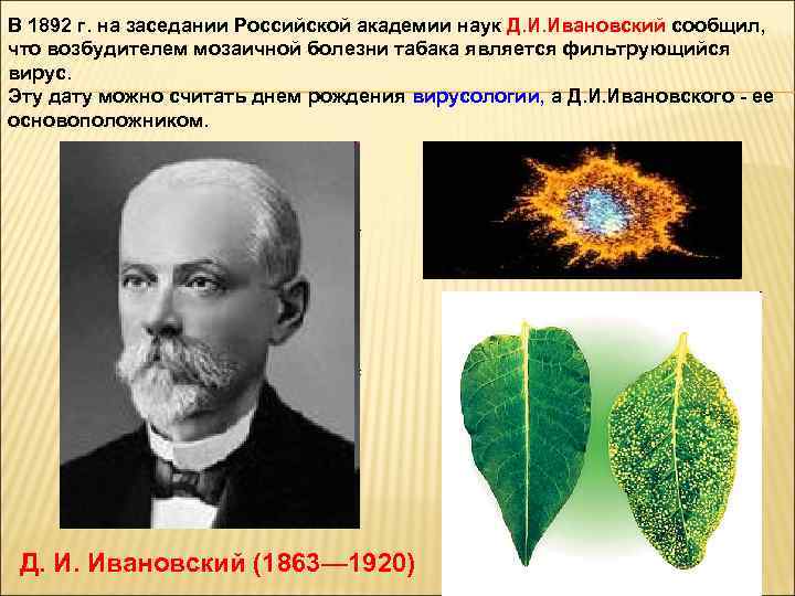 В 1892 г. на заседании Российской академии наук Д. И. Ивановский сообщил, что возбудителем
