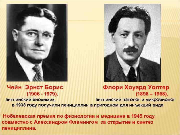 Чейн Эрнст Борис (1906 - 1979), Флори Хоуард Уолтер (1898 – 1968), английский биохимик,