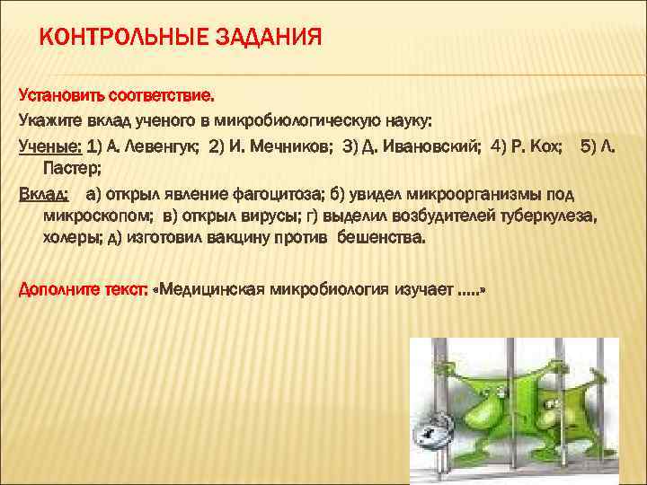 КОНТРОЛЬНЫЕ ЗАДАНИЯ Установить соответствие. Укажите вклад ученого в микробиологическую науку: Ученые: 1) А. Левенгук;