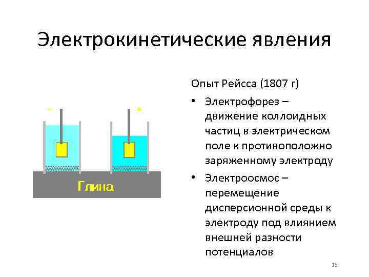 Электрокинетические явления Опыт Рейсса (1807 г) • Электрофорез – движение коллоидных частиц в электрическом