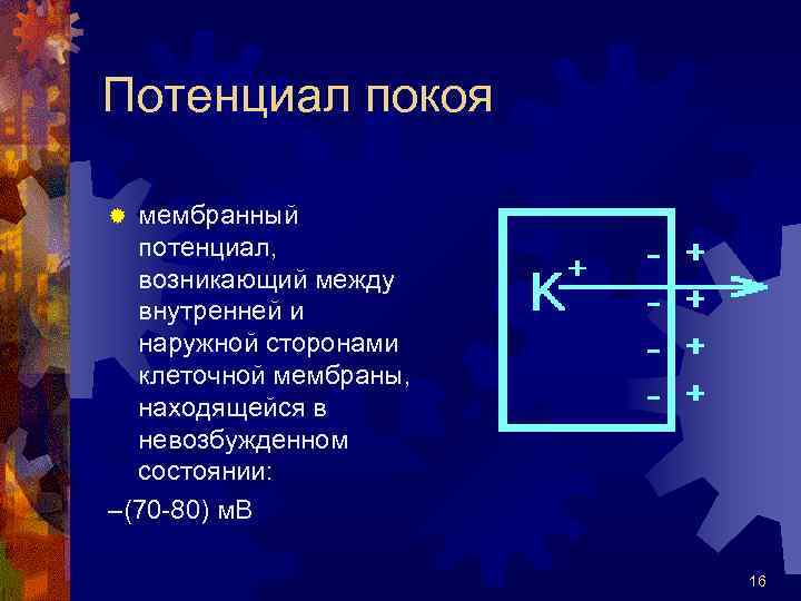 Потенциал покоя мембранный потенциал, возникающий между внутренней и наружной сторонами клеточной мембраны, находящейся в
