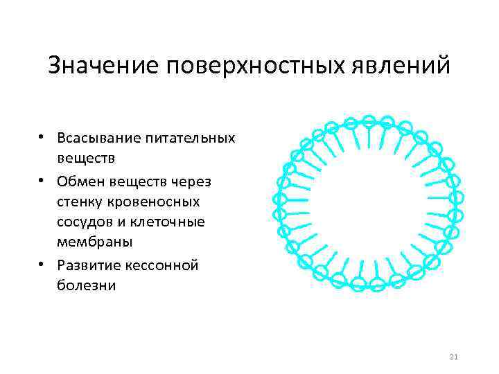 Значение поверхностных явлений • Всасывание питательных веществ • Обмен веществ через стенку кровеносных сосудов