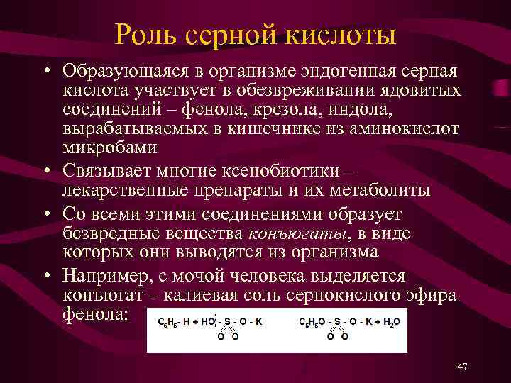 Роль серной кислоты • Образующаяся в организме эндогенная серная кислота участвует в обезвреживании ядовитых