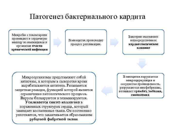 Патогенез бактериального кардита Микробы с током крови проникают в сердечную мышцу из имеющихся в
