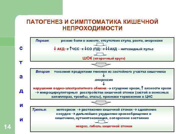 ПАТОГЕНЕЗ И СИМПТОМАТИКА КИШЕЧНОЙ НЕПРОХОДИМОСТИ Первая: с АКД ЧСС СО (ПД) АКД – нитевидный