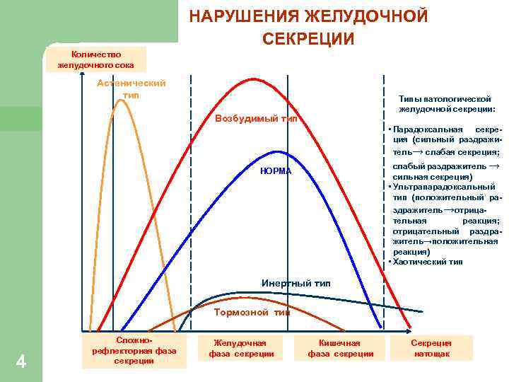 НАРУШЕНИЯ ЖЕЛУДОЧНОЙ СЕКРЕЦИИ Количество желудочного сока Астенический тип Типы патологической желудочной секреции: Возбудимый тип