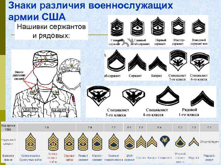 Знаки различия военнослужащих армии США Нашивки сержантов и рядовых: 
