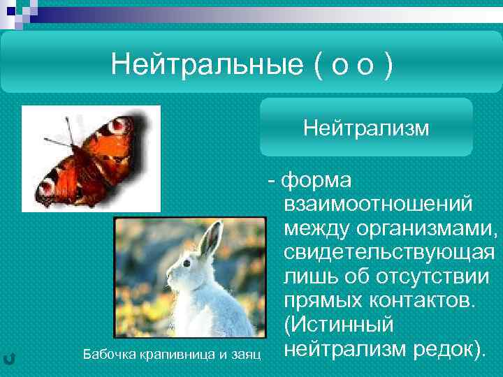 Нейтральные ( о о ) Нейтрализм - форма взаимоотношений между организмами, свидетельствующая лишь об