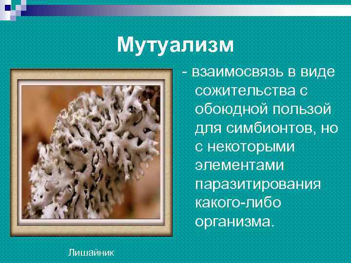 Мутуализм - взаимосвязь в виде сожительства с обоюдной пользой для симбионтов, но с некоторыми