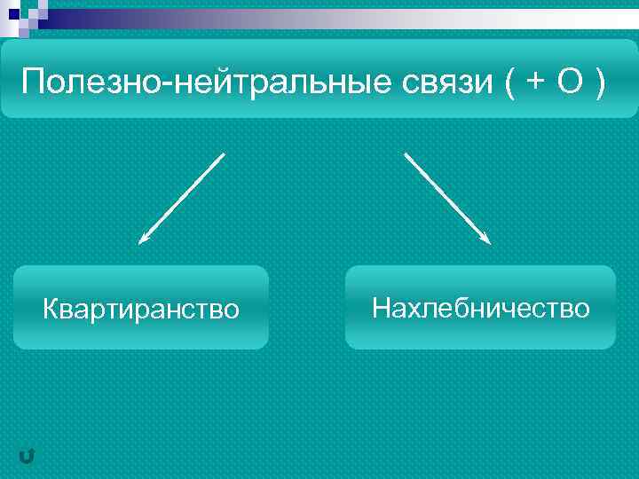 Полезно-нейтральные связи ( + О ) Квартиранство Нахлебничество 