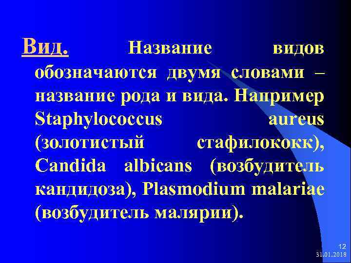 Вид. Название видов обозначаются двумя словами – название рода и вида. Например Staphylococcus aureus