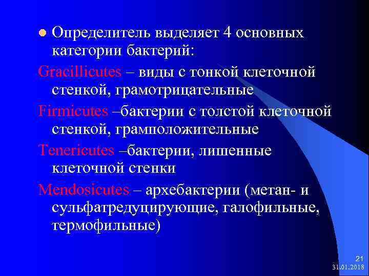 Определитель выделяет 4 основных категории бактерий: Gracillicutes – виды с тонкой клеточной стенкой, грамотрицательные