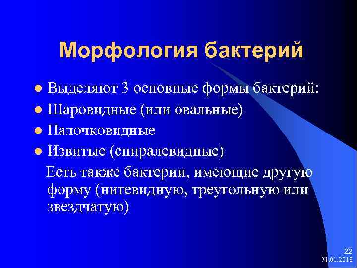 Морфология бактерий Выделяют 3 основные формы бактерий: l Шаровидные (или овальные) l Палочковидные l