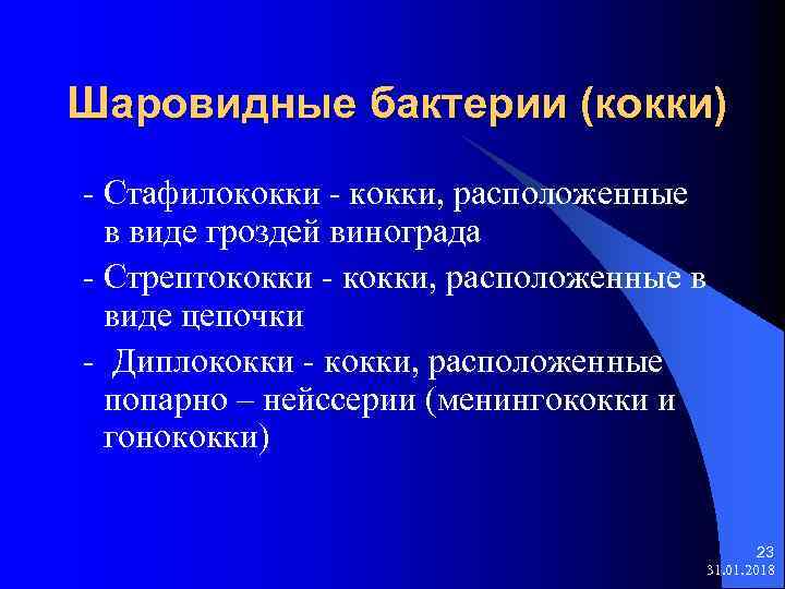 Шаровидные бактерии (кокки) - Стафилококки - кокки, расположенные в виде гроздей винограда - Стрептококки