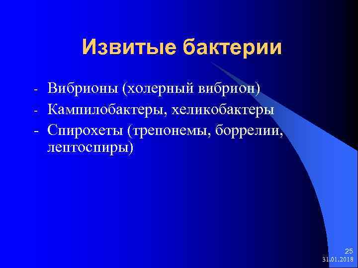 Извитые бактерии Вибрионы (холерный вибрион) - Кампилобактеры, хеликобактеры - Спирохеты (трепонемы, боррелии, лептоспиры) -