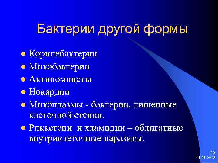 Бактерии другой формы Коринебактерии l Микобактерии l Актиномицеты l Нокардии l Микоплазмы - бактерии,