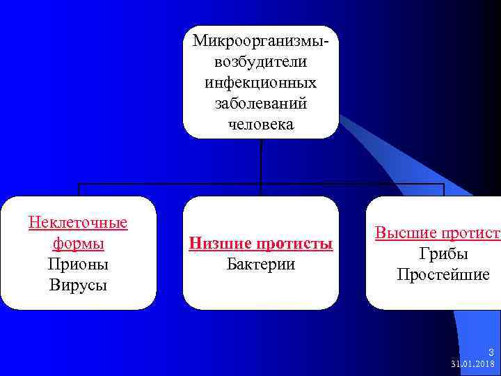 Микроорганизмывозбудители инфекционных заболеваний человека Неклеточные формы Прионы Вирусы Низшие протисты Бактерии Высшие протисты Грибы