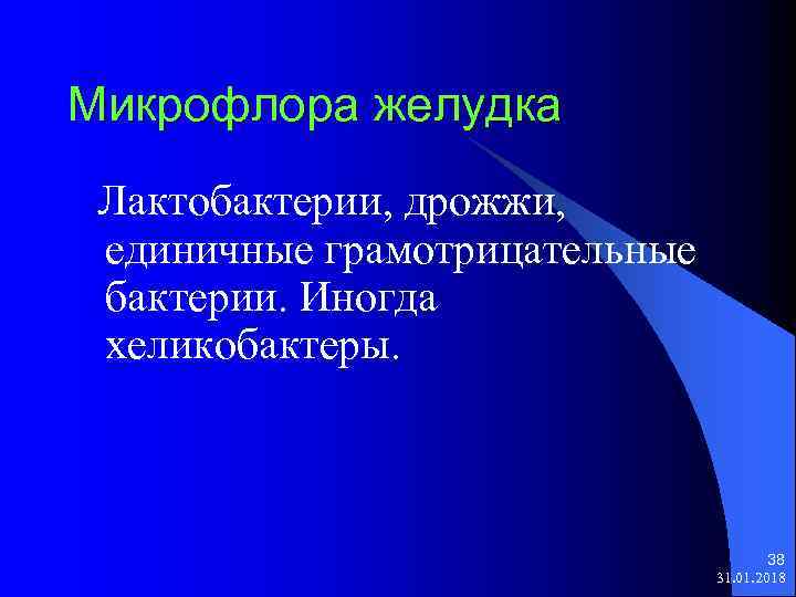 Микрофлора желудка Лактобактерии, дрожжи, единичные грамотрицательные бактерии. Иногда хеликобактеры. 38 31. 01. 2018 