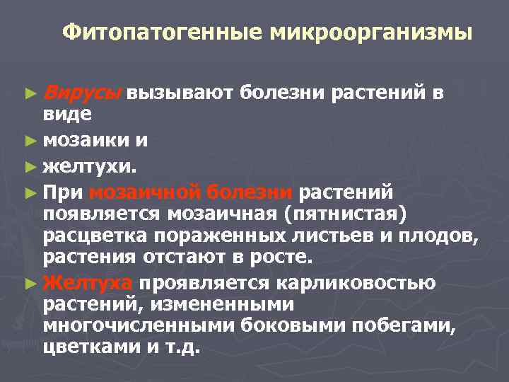  Фитопатогенные микроорганизмы ► Вирусы вызывают болезни растений в виде ► мозаики и ►