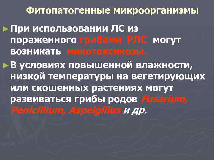  Фитопатогенные микроорганизмы ► При использовании ЛС из пораженного грибами РЛС могут возникать микотоксикозы.