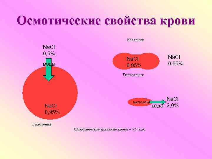 Осмотические свойства крови Изотония Na. Cl 0, 5% вода Na. Cl 0, 95% Гипертония