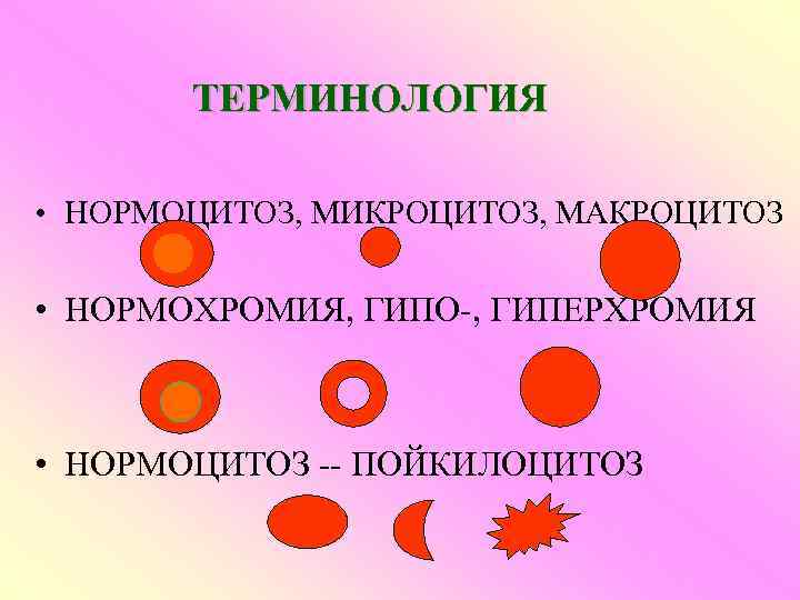 ТЕРМИНОЛОГИЯ • НОРМОЦИТОЗ, МИКРОЦИТОЗ, МАКРОЦИТОЗ • НОРМОХРОМИЯ, ГИПО-, ГИПЕРХРОМИЯ • НОРМОЦИТОЗ -- ПОЙКИЛОЦИТОЗ 