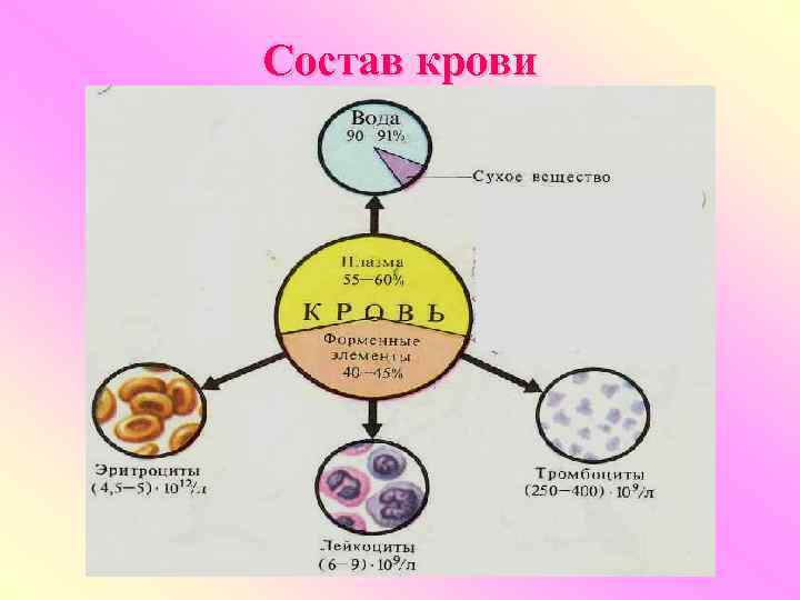 Состав крови 