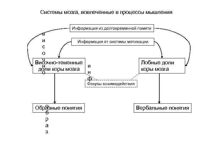 Системы мозга, вовлеченные в процессы мышления Информация из долговременной памяти в и Информация от