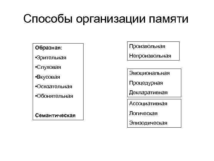 Способы организации памяти Образная: Произвольная • Зрительная Непроизвольная • Слуховая • Вкусовая • Осязательная