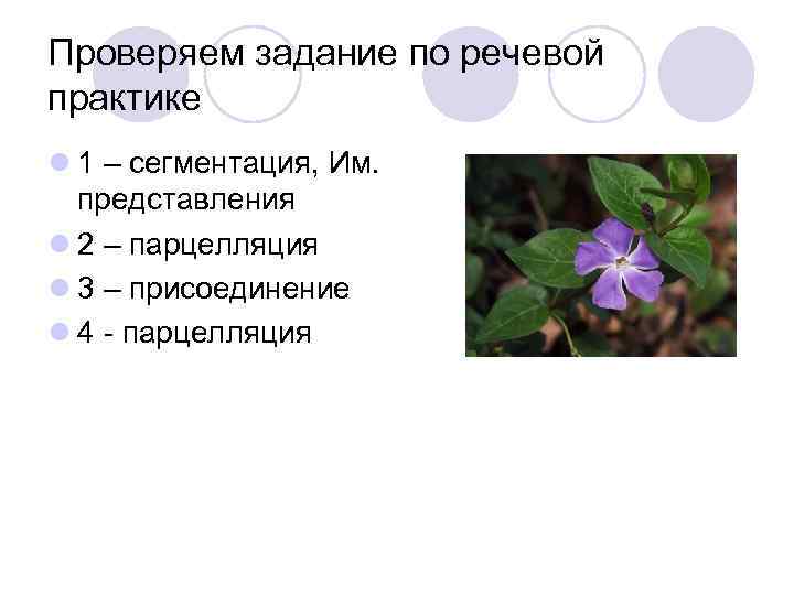 Проверяем задание по речевой практике l 1 – сегментация, Им. представления l 2 –