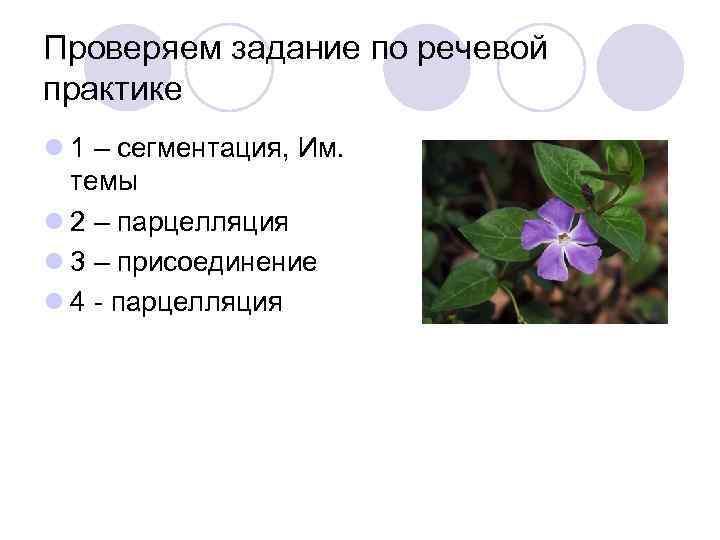 Проверяем задание по речевой практике l 1 – сегментация, Им. темы l 2 –
