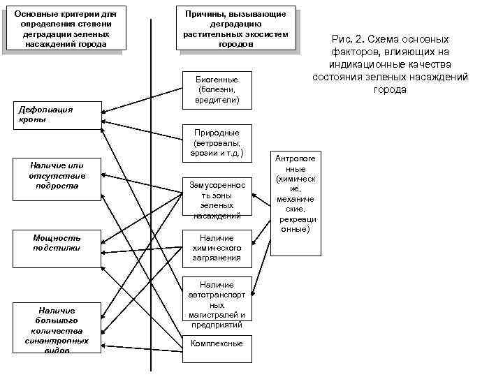 Основные критерии для определения степени деградации зеленых насаждений города Причины, вызывающие деградацию растительных экосистем