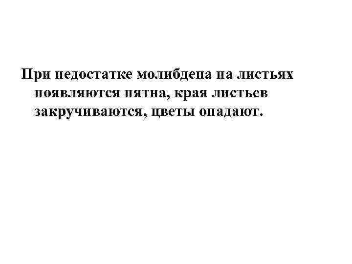 При недостатке молибдена на листьях появляются пятна, края листьев закручиваются, цветы опадают. 