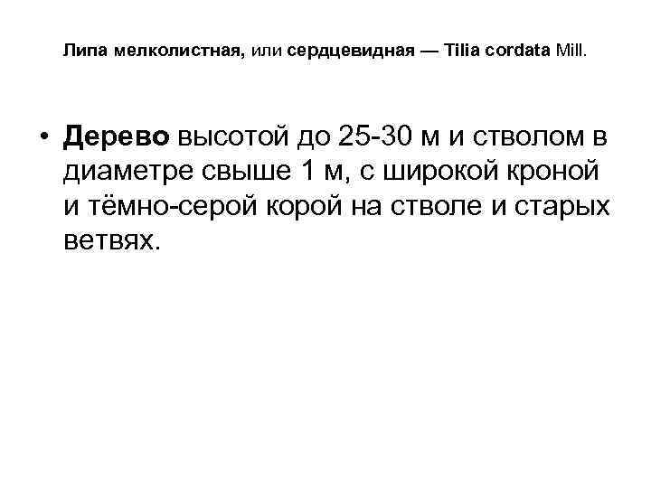 Липа мелколистная, или сердцевидная — Tilia cordata Mill. • Дерево высотой до 25 30