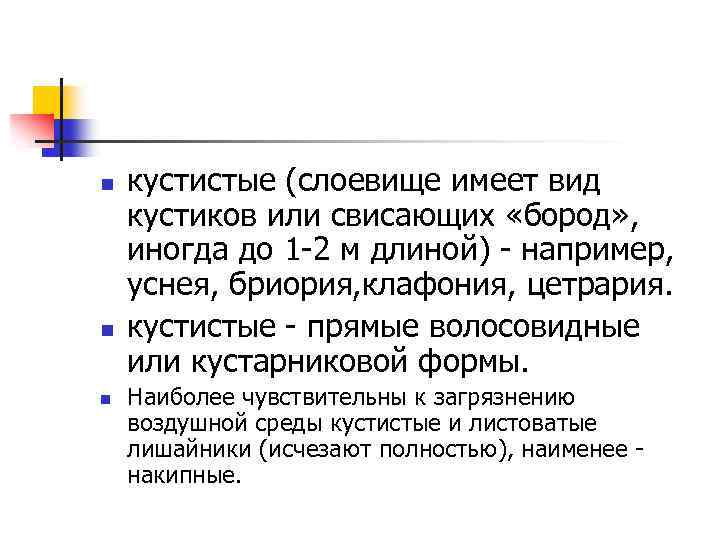 n n n кустистые (слоевище имеет вид кустиков или свисающих «бород» , иногда до