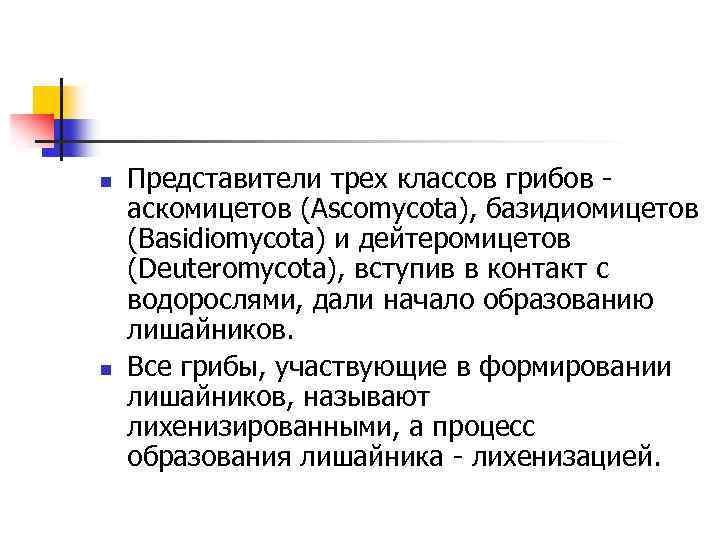 n n Представители трех классов грибов аскомицетов (Ascomycota), базидиомицетов (Basidiomycota) и дейтеромицетов (Deuteromycota), вступив