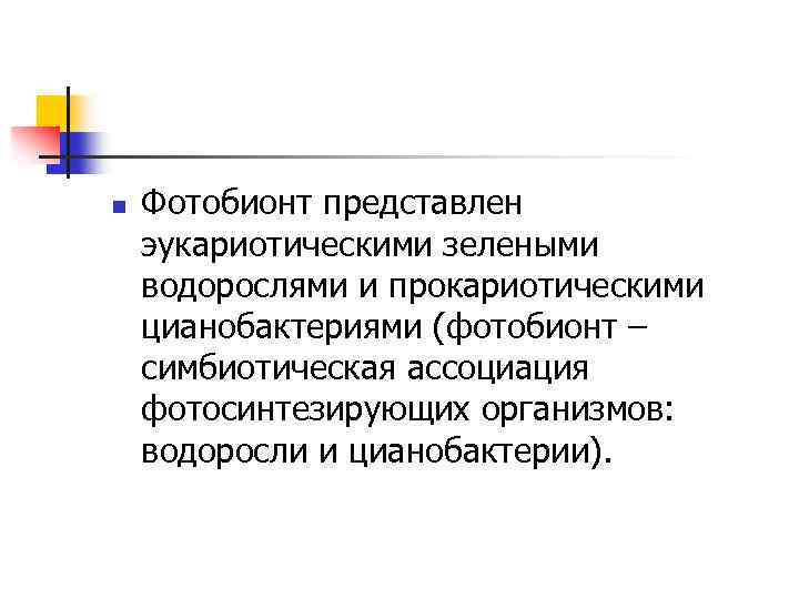 n Фотобионт представлен эукариотическими зелеными водорослями и прокариотическими цианобактериями (фотобионт – симбиотическая ассоциация фотосинтезирующих