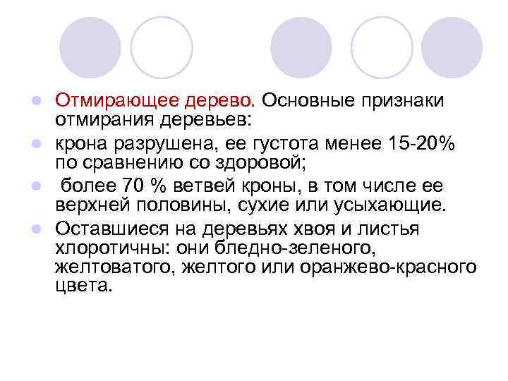 Отмирающее дерево. Основные признаки отмирания деревьев: l крона разрушена, ее густота менее 15 20%