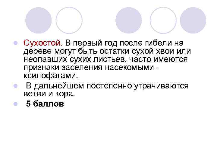 Сухостой. В первый год после гибели на дереве могут быть остатки сухой хвои или