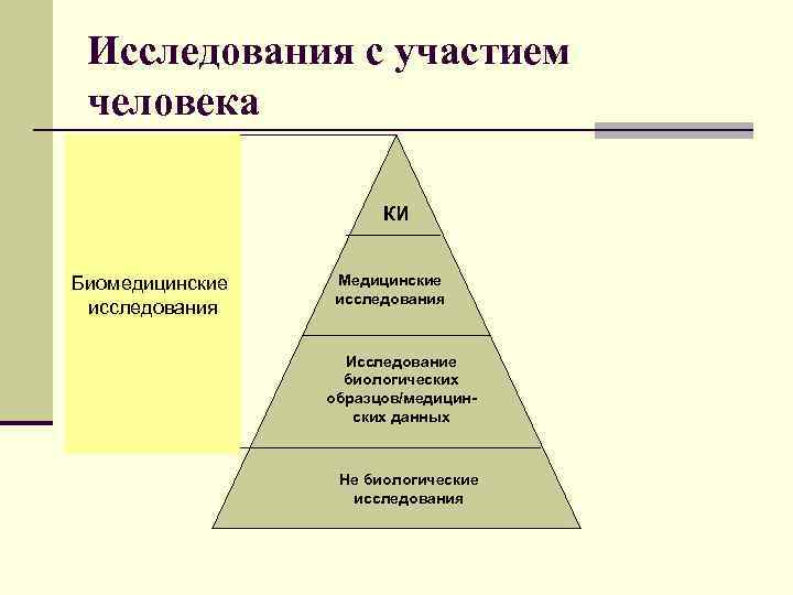 Понятие образцов для исследования и виды образцов