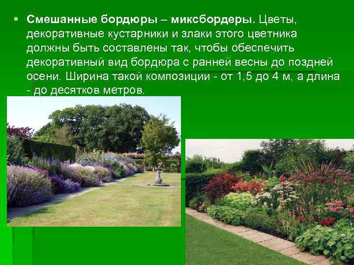 § Смешанные бордюры – миксбордеры. Цветы, декоративные кустарники и злаки этого цветника должны быть