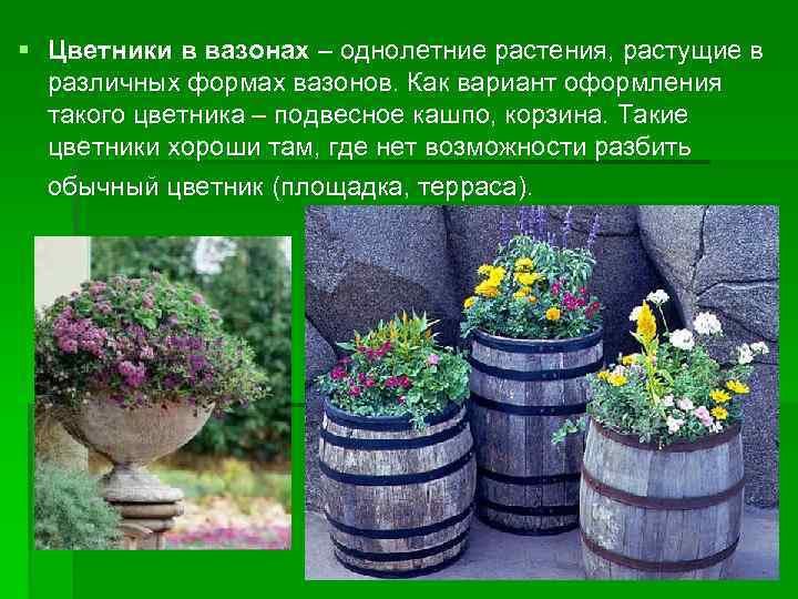 § Цветники в вазонах – однолетние растения, растущие в различных формах вазонов. Как вариант