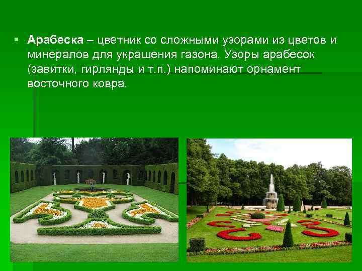 § Арабеска – цветник со сложными узорами из цветов и минералов для украшения газона.