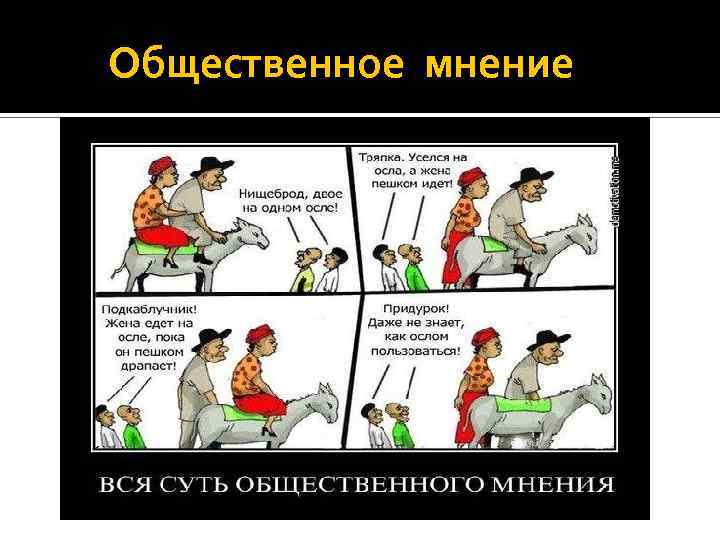  Общественное мнение 