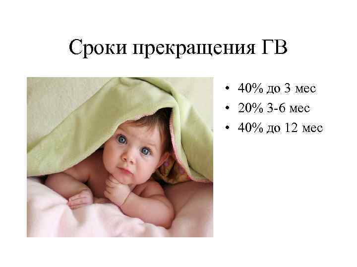 Сроки прекращения ГВ • 40% до 3 мес • 20% 3 -6 мес •
