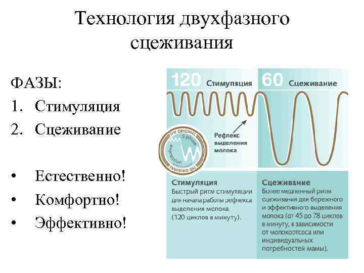 Технология двухфазного сцеживания ФАЗЫ: 1. Стимуляция 2. Сцеживание • • • Естественно! Комфортно! Эффективно!