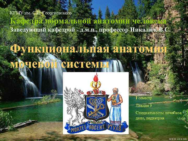 КГМУ им. С. И. Георгиевского Кафедра нормальной анатомии человека Заведующий кафедрой - д. м.